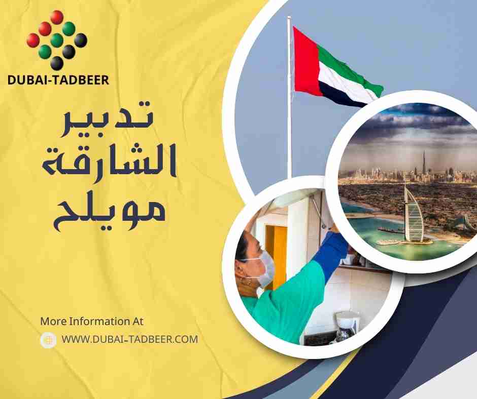 تدبير الشارقة مويلح