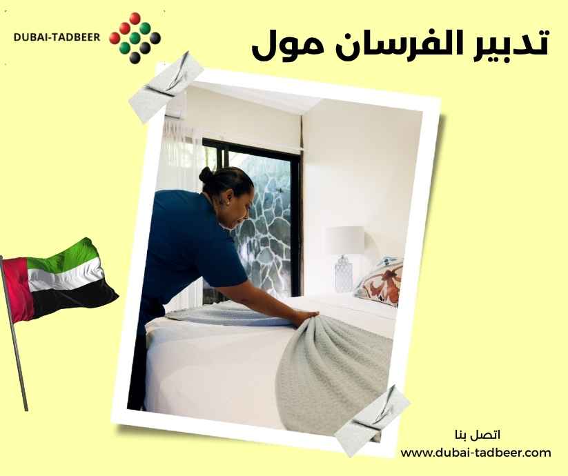 تدبير الفرسان مول تدبير الفرسان مول