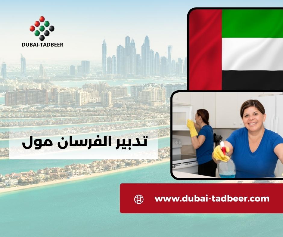 تدبير الفرسان مول تدبير الفرسان مول