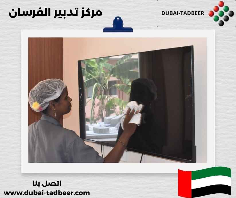 مركز تدبير الفرسان مركز تدبير الفرسان