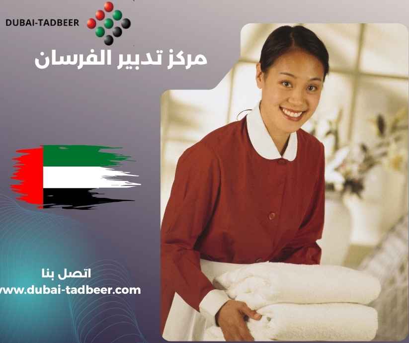 مركز تدبير الفرسان مركز تدبير الفرسان