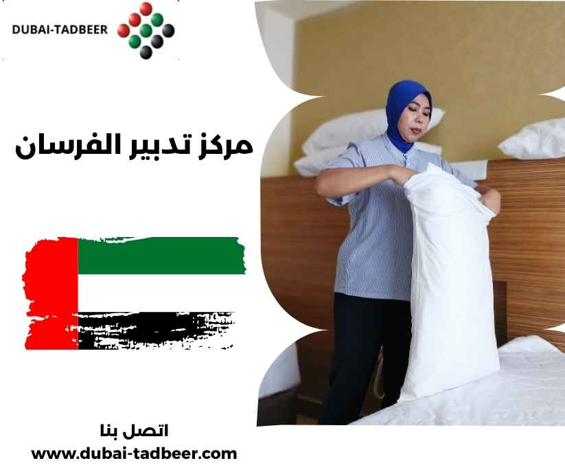 مركز تدبير الفرسان مركز تدبير الفرسان