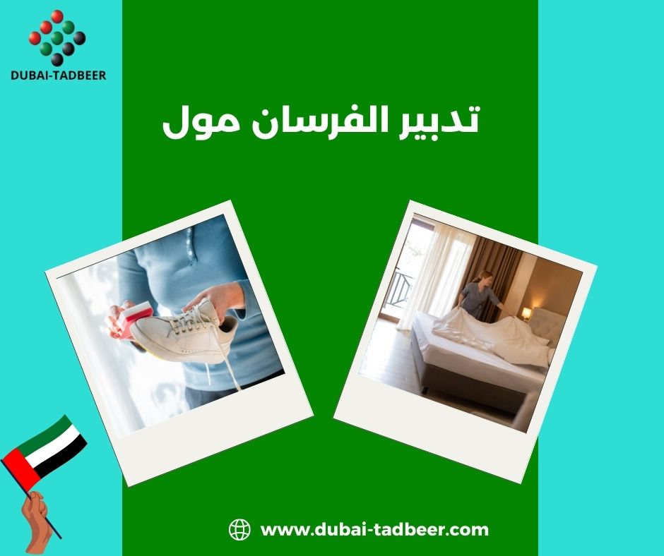 مكتب تدبير الفرسان مول